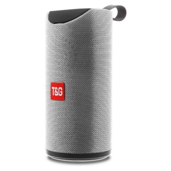 SPEAKER PORTABLE TG-113A AUX/USB/MEMORY CARD SILVER